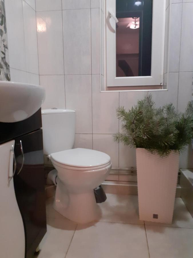 Guest House Viktoria Yaremtche Extérieur photo